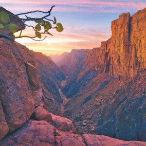 Tabuk Region Tour